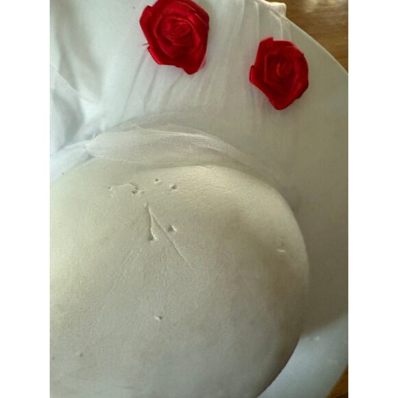 Disney Mary Poppins costume white dres with red roses - Picture 8 of 15